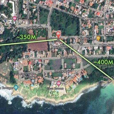 Studio -Trees At Mikasa- Near Beach, Pool, Fast Wifi, Ac & King Bed Puerto Escondido  Buitenkant foto
