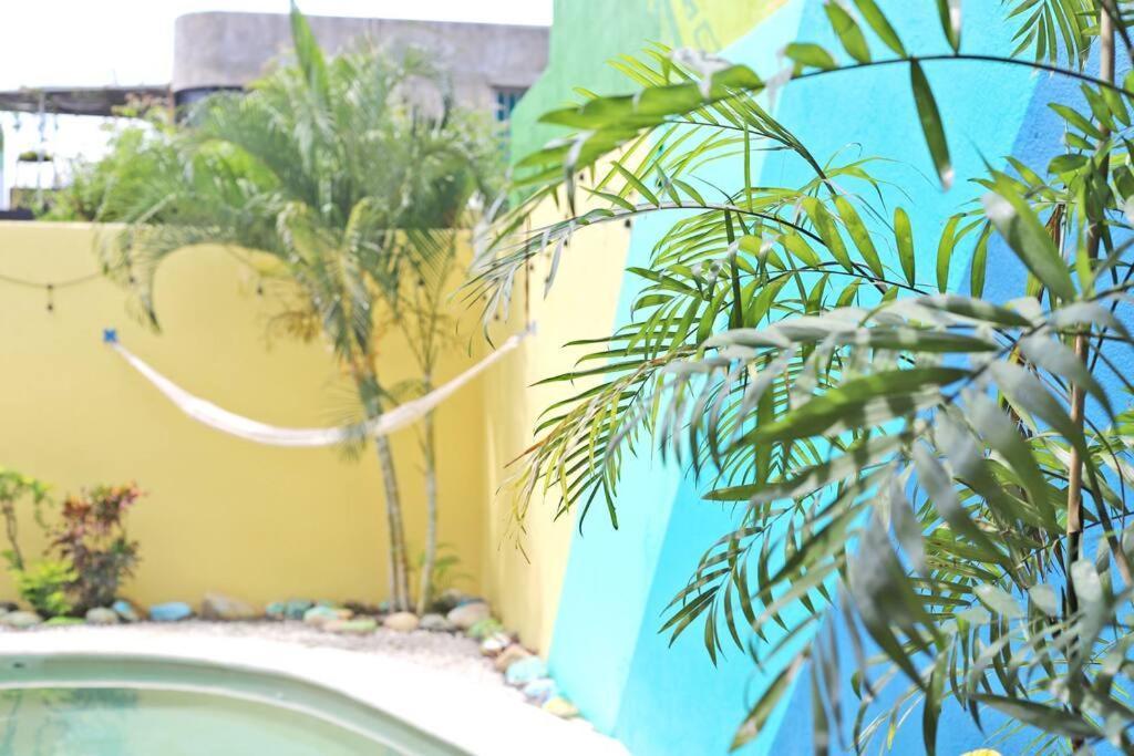 Studio -Trees At Mikasa- Near Beach, Pool, Fast Wifi, Ac & King Bed Puerto Escondido  Buitenkant foto